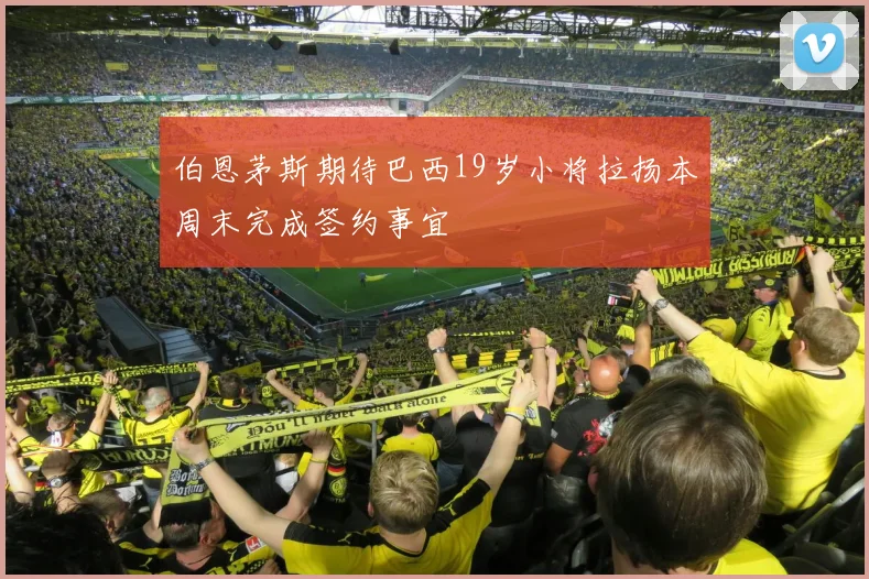 伯恩茅斯期待巴西19岁小将拉扬本周末完成签约事宜