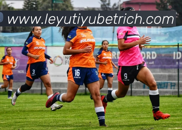 乐鱼体育APP 高清赛事图