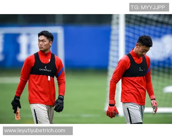 外援身价排行榜揭晓米特里策领衔中超前十维塔尔大幅上涨进入前三